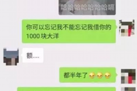 保康为什么选择专业追讨公司来处理您的债务纠纷？